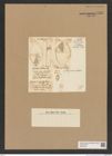 Diatomeae indet. Zeichnungen Sammlung Grunow Nr. 7591 (NHMW-BOT-W0376752)